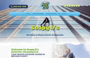 Soapy D's Exterior Cleaning LLC