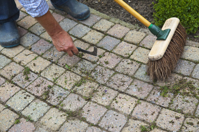 Walkway Cleaning, Melbourne, FL | Soapy D's Exterior Cleaning LLC